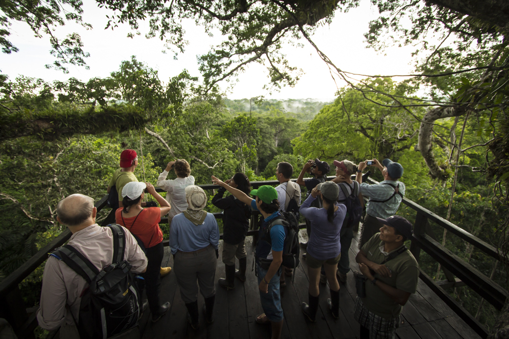 Amazon Tour Tree Top Viewing Platform